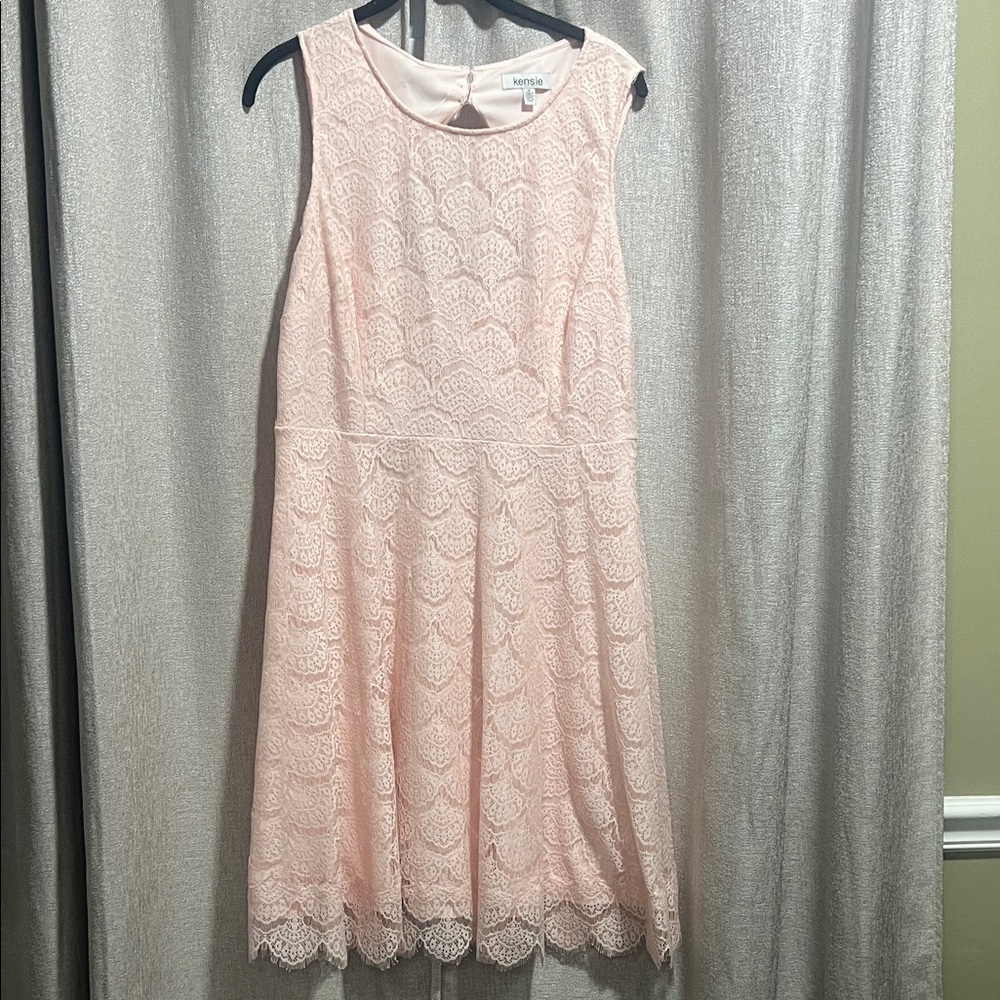 Kensie Light Blush Lace A-Line Dress